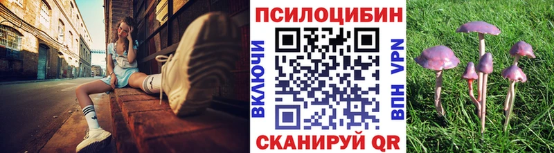 Псилоцибиновые грибы Psilocybe  Тюмень 