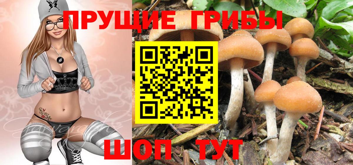 Галлюциногенные грибы GOLDEN TEACHER Тюмень