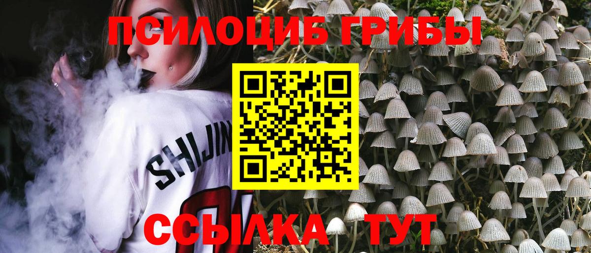 Псилоцибиновые грибы мухоморы  Псилоцибиновые грибы прущие грибы  Тюмень  Вход с VPN 